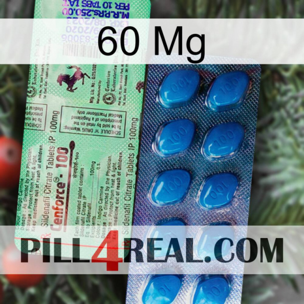 60 Mg new02.jpg